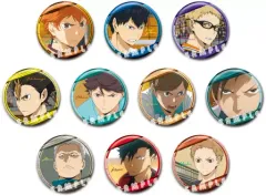 【中古】バッジ・ピンズ(キャラクター) 全10種セット 「ハイキュー!! 烏野高校 VS 白鳥沢学園高校 情熱缶バッジ4」