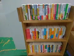 お得な文庫まとめ100冊セット　㉘　状態：良