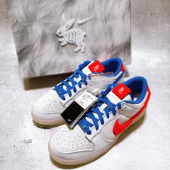 ナイキ ダンク LOW レトロ PRM 28.5cm