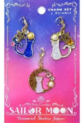 【中古】キーホルダー・マスコット(キャラクター) ルナ＆アルテミス＆ダイアナ チャームセット(3個組) 「美少女戦士セーラームーン・ザ・ミラクル 4-D」 ユニバーサル・スタジオ・ジャパン限定