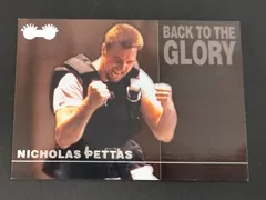 aca444 筋肉番付 カード KONAMI コナミ ニコラス・ペタス