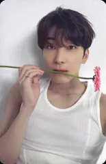 SEVENTEEN 17 IS RIGHT HERE WONWOO トレーディングカード DEAR