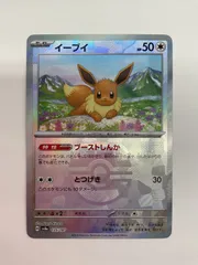 2025年最新】マスターボール柄 イーブイの人気アイテム - メルカリ