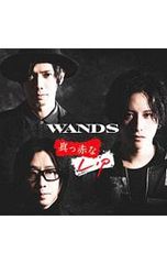 DVD／VAMPS LIVE 2009 U.S.A. 初回受注限定生産盤 - メルカリ