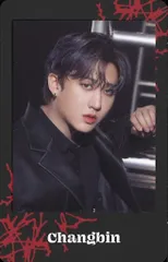 Stray Kids Changbin 2024 dominATE JAPAN セット販売 トレーディングカード 枠付