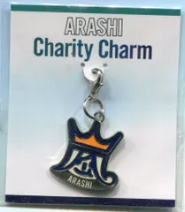 嵐 11-12年 Beautiful World チャリティーチャーム