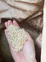 新米　お米　30キロ　彩のきずな　送料無料・精米無料　白米か玄米が選べる