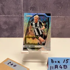 2025年最新】anthony gordonの人気アイテム - メルカリ