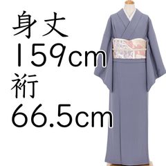 長尺□夏着物□色無地□縦絽◇淡いグレー□背紋有◇略礼装□正絹着物 