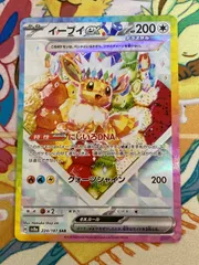 イーブイex SAR 224/187