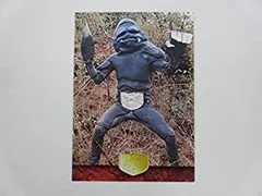 2026年最新】仮面ライダー1号2号編・トレーディングコレクションの