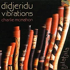 2025年最新】didgeridooの人気アイテム - メルカリ