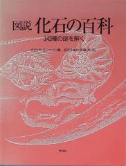 北冬書房 林静一劇画作品集Ⅱ 林静一 酔蝶花 - メルカリ