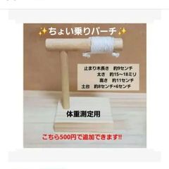 a520 大人気！ インコ カジカジ ガジガジおもちゃコルクセット