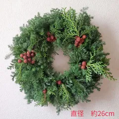 2025年最新】ヒムロスギの人気アイテム - メルカリ