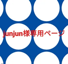 junjun様専用ページです。