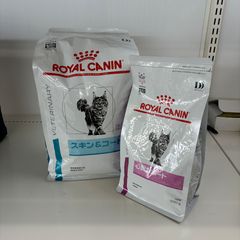 ☆【希少】キティパン hanPanda ハンパンダ リミテッドエディション