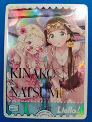 Item thumbnail for item 17570e57-328b-4937-b231-e53045e3326a