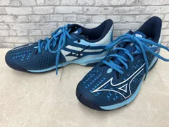 テニスシューズ MIZUNO ミズノ オールコート用 ウエーブエクシードツアー6 AC 61GA247027 メンズ レディース 24.5cm ブルー系