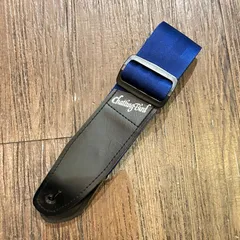 2025年最新】chatting bird エレキギター 中古の人気アイテム - メルカリ