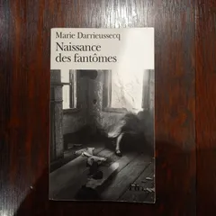 フランス語　洋書　Naissance des Fantomes