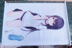 桜田杏 描き下ろしB2タペストリー Switch アイキス ソフマップ予約特典 