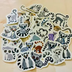 2026年最新】ワオキツネザルの人気アイテム - メルカリ