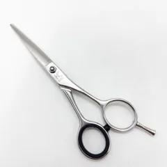 2025年最新】キクシザーの人気アイテム - メルカリ