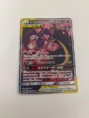 ポケモンカード アーゴヨン&アクジキングGX SR(SA)