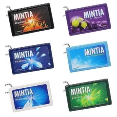 ミンティア シャカシャカキーチェーン × 全6種セット タブレット型 清涼菓子 お菓子 ラムネ フルコンプ コンプリート ガチャガチャ カプセルトイ WIND&COOL COLDSMASH DryHard カテキンミント AQUA SPARK グレープ