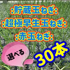 2025年最新】玉ねぎ 苗 無農薬の人気アイテム - メルカリ 2025年最新】玉ねぎ 苗 無農薬の人気アイテム - メルカリ