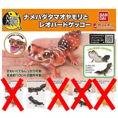 いきもの大図鑑レプティ ナメハダタマオヤモリとレオパードゲッコー ニシナメハダタマオヤモリ × 1個単品 ガチャ ガチャガチャ カプセルトイ