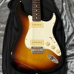 FUJIGEN（フジゲン） NST12RAL P-90タイプPU搭載 Neo Classicシリーズ