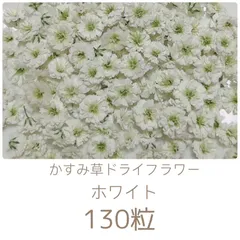 ホワイト かすみ草ドライフラワー 130粒