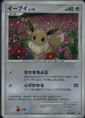 063/DP-P イーブイ LV.14