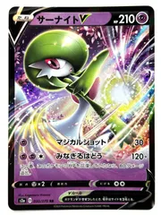 030/070 サーナイトV