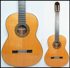 ☆Burny☆RLG-45 シースルーブルー レスポールスタンダード 2005年製