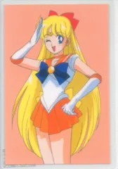 2025年最新】愛野美奈子の人気アイテム - メルカリ