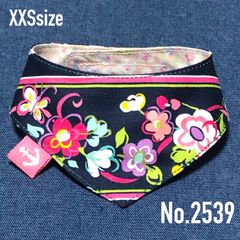 Item thumbnail for item 4fa19268-5766-46cf-910e-caffa71273a2