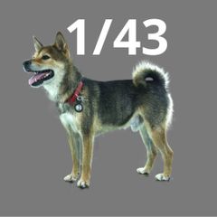 1/24 PON-01 犬 フィギュア ミニチュア 完成品 1/64より大 - メルカリ