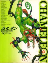 グラフィック社 韮沢靖作品集 カメレオン 初版 第一刷 - メルカリ