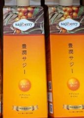 sajiberry フィネス 豊潤サジー アプリコットテイスト 1000ml 2本