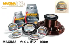 2025年最新】カメレオンリーダーの人気アイテム - メルカリ