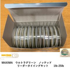 ⭐究極レア!!! イブナ隕石 標本 ss - メルカリ