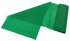 【特価商品】グリーン 20R2500S ソフト トレーニングラバー BBバンド 秦運動具工業 HATAS(秦運動具工業)