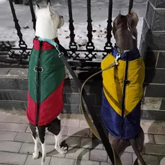 92ドッグウェア　犬用冬コート　薄型ダウンベスト　お散歩に便利なリード用Ｄカン付き　防風ジッパー付き　断熱ペットウェア　ペット服　犬の服　犬服　中大型犬用服　秋冬服　カラーブロック　洗濯機対応寒冷天候　フレブル　柴犬　ポリエステル　暖かい　犬用ジャケット