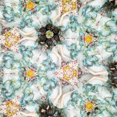 2025年最新】残響散歌 レコードの人気アイテム - メルカリ