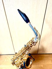 Item thumbnail for item 1060f4c6-e8e9-434e-a99a-adb1aa3176b2