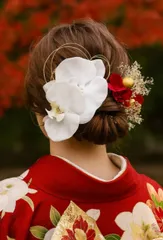 胡蝶蘭 レッド 髪飾り ● 成人式 卒業式 結婚式 七五三