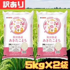 訳あり 5kg×2袋セット 令和6年産 秋田県産あきたこまち 5kg×2袋 計10kg お米 白米 精米 パールライス お得 格安 爆買 セール まとめ買い 【北海道/沖縄/離島発送不可】